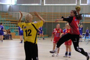 Jens-handball 009